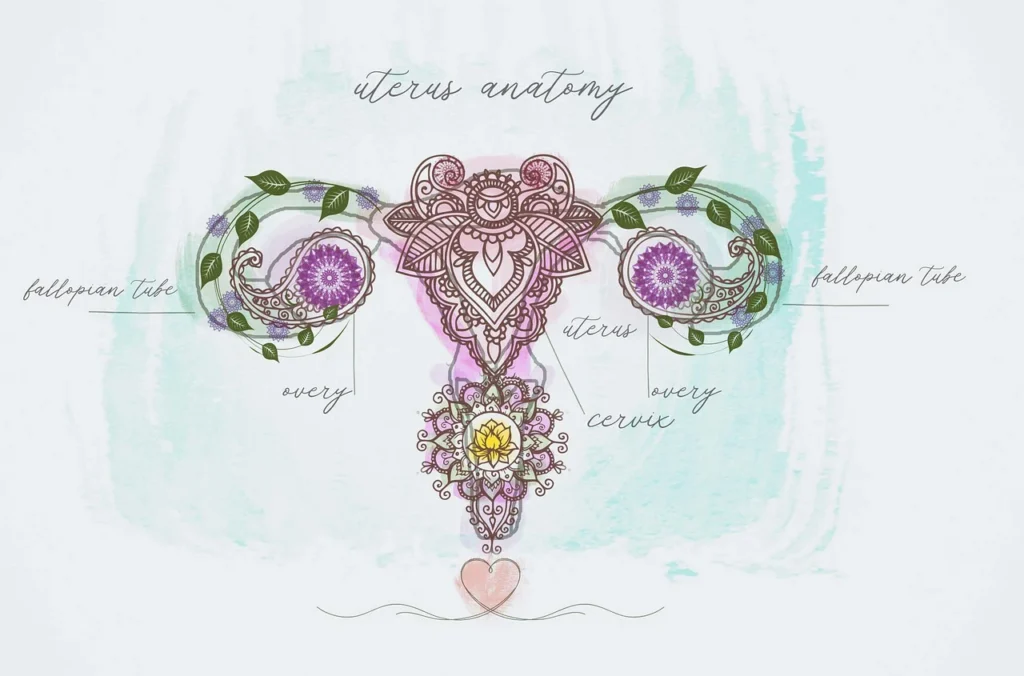 Cercle de femmes 
cycle féminin 
Brabant Wallon 
La Hulpe 